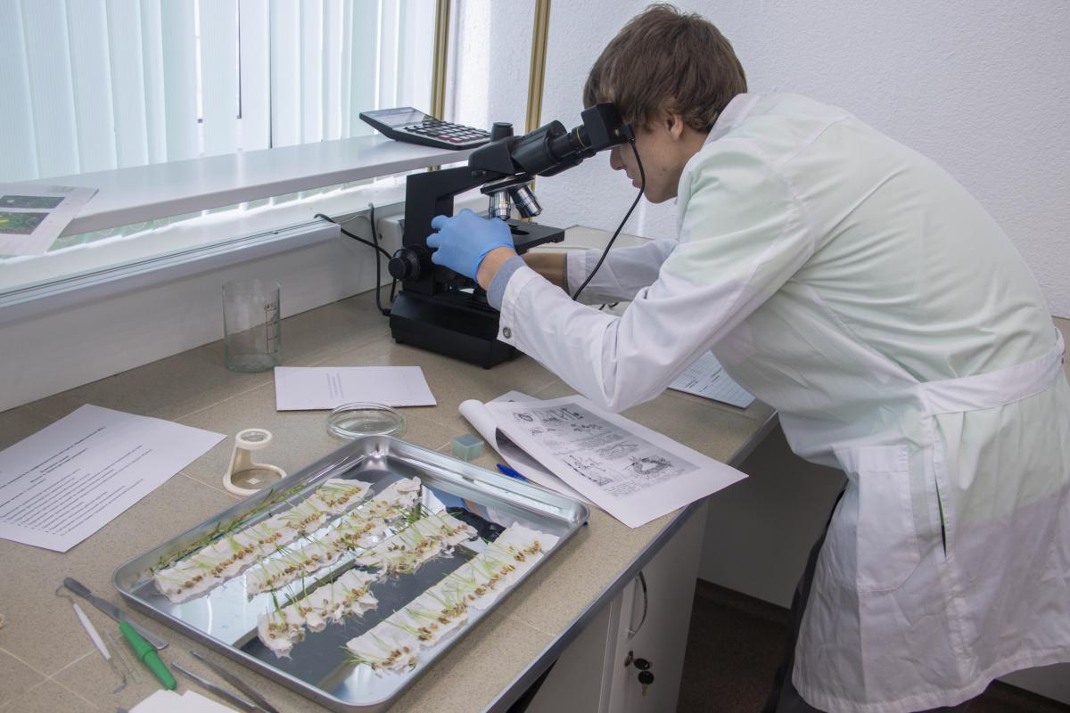 Чемпионат «Профессионалы-2026»: В Вавиловском университете стартовала компетенция «Агрономия» Фото 7