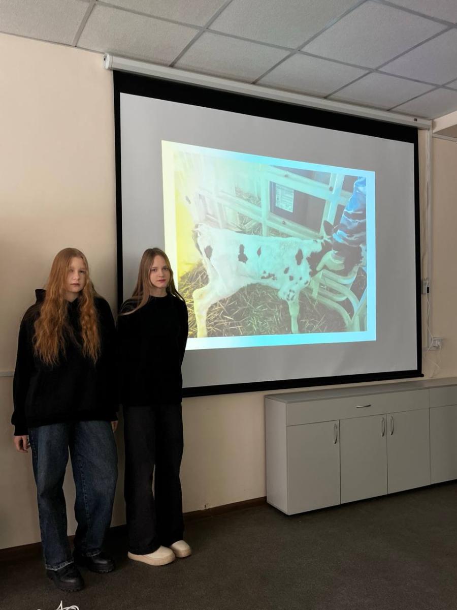 Формирование профессиональных компетенций - условие успешной профессиональной деятельности выпускников Фото 5 Формирование профессиональных компетенций - условие успешной профессиональной деятельности выпускников Фото 5