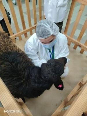 Первый соревновательный день состоялся