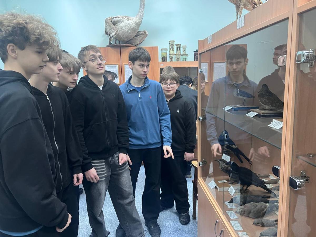 Посещение Энтомологического музея Вавиловского университета Фото 3