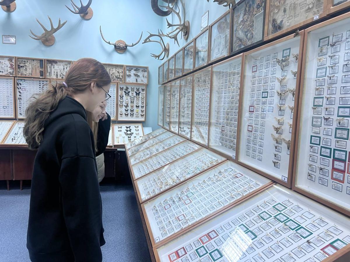 Посещение Энтомологического музея Вавиловского университета Фото 5