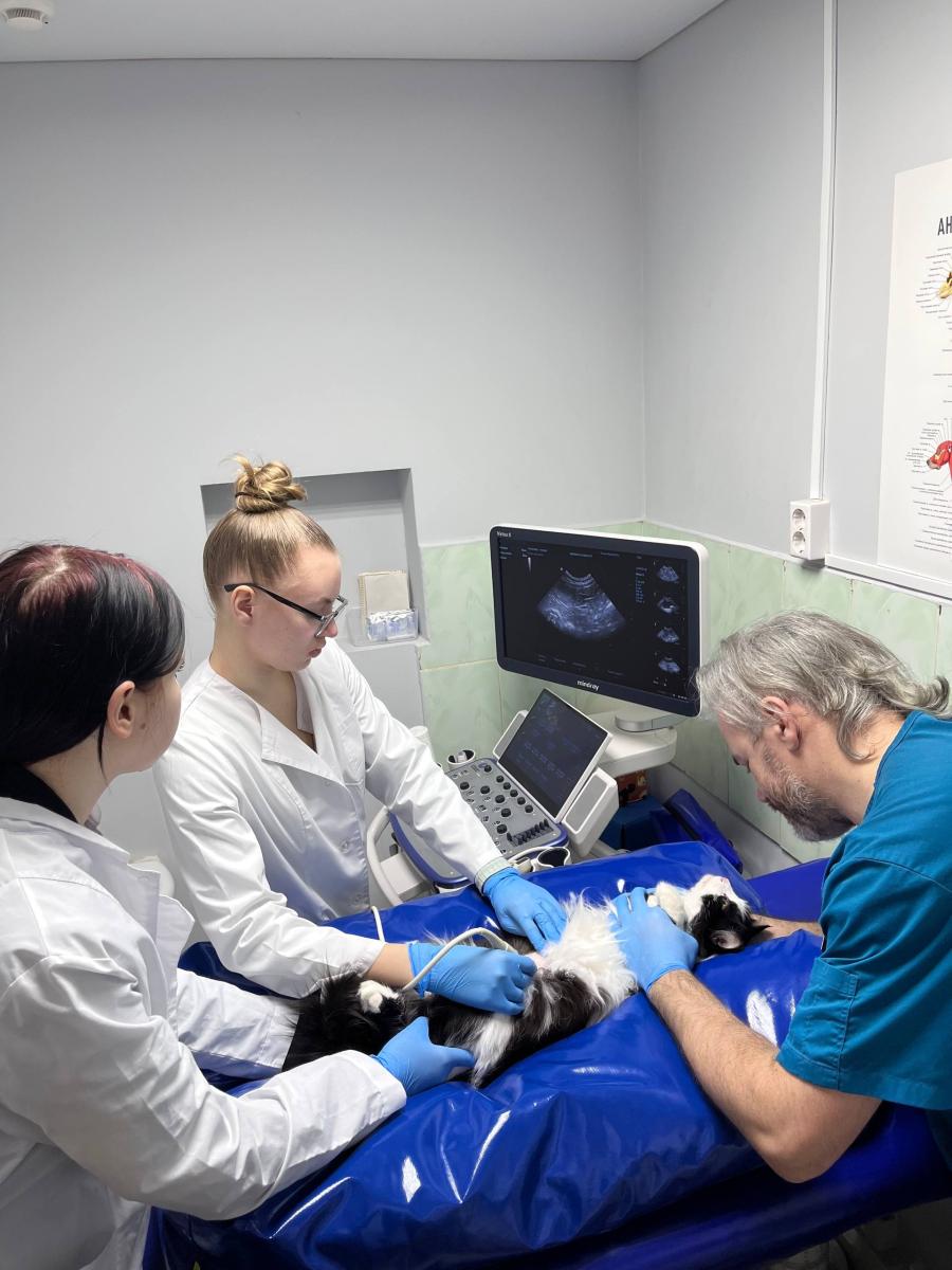 Посещение клиники «Родентовет» Фото 2