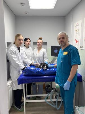 Посещение клиники «Родентовет»