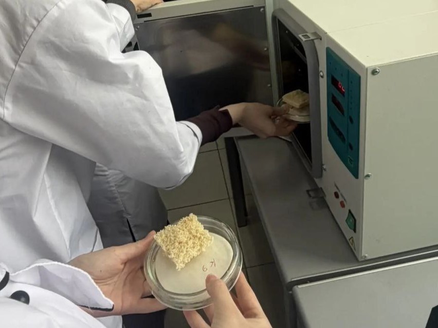 Практикум по микробиологии: Будущие технологи хлебопечения провели экспертизу муки Фото 2