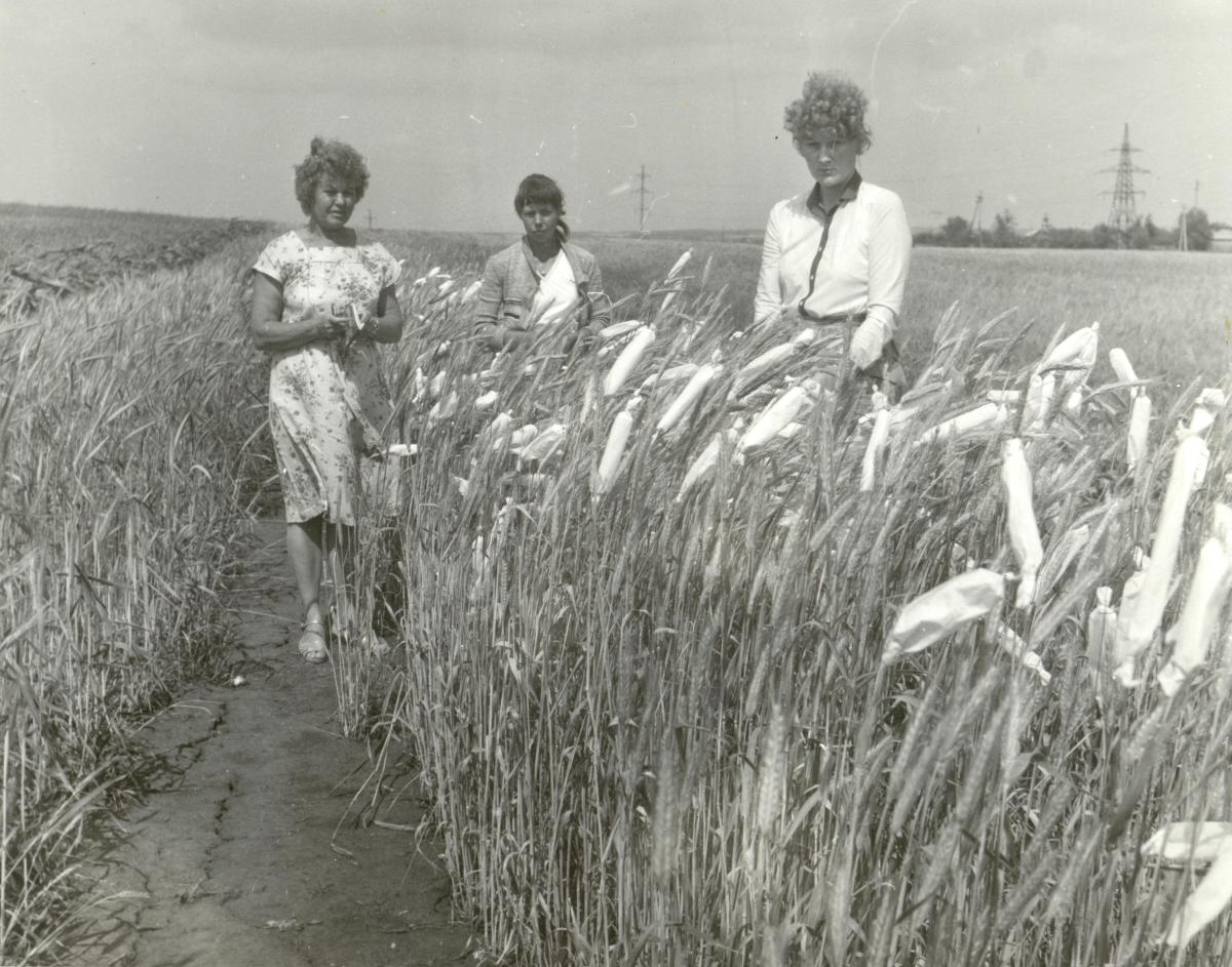 К юбилею ученого: Профессор Нина Орлова Фото 1 К юбилею ученого: Профессор Нина Орлова Фото 1