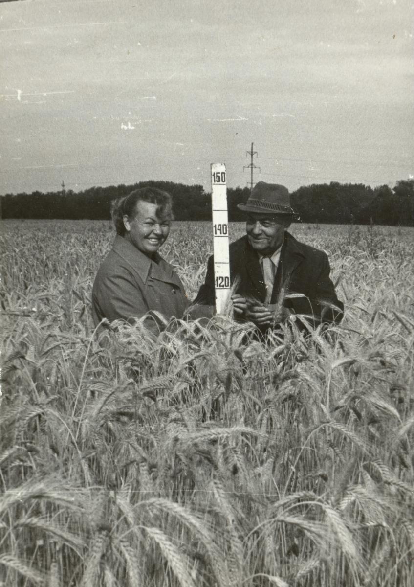 К юбилею ученого: Профессор Нина Орлова Фото 2 К юбилею ученого: Профессор Нина Орлова Фото 2