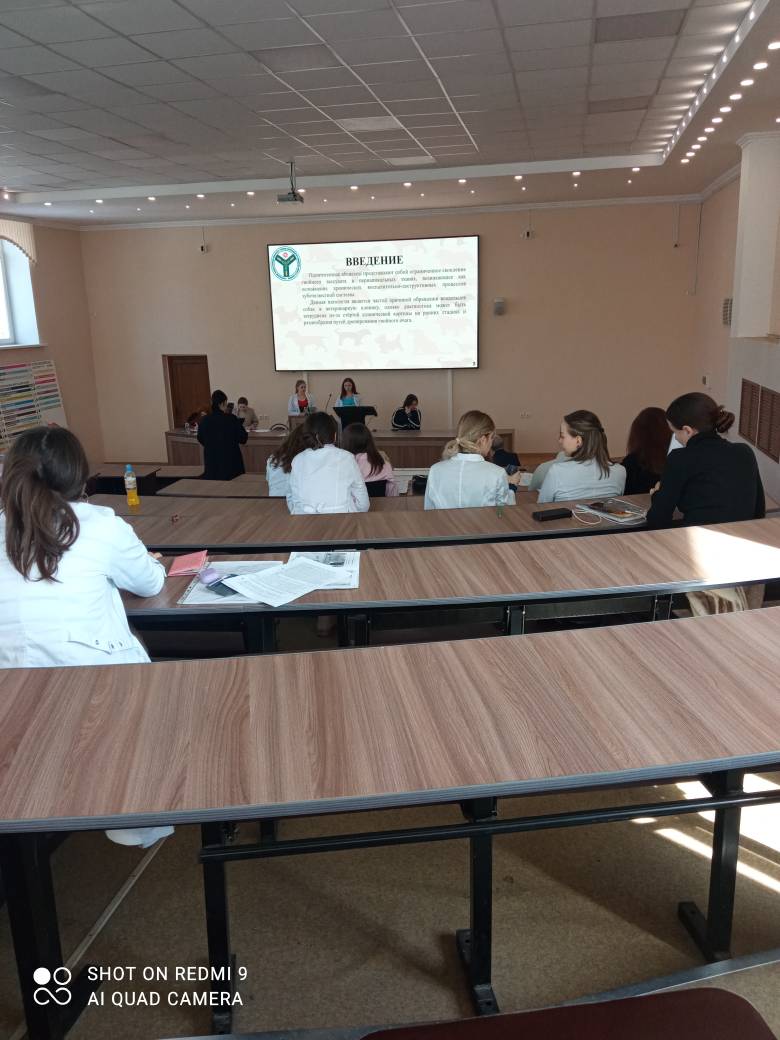 Студенческая конференция, секция «Ветеринария» Фото 2