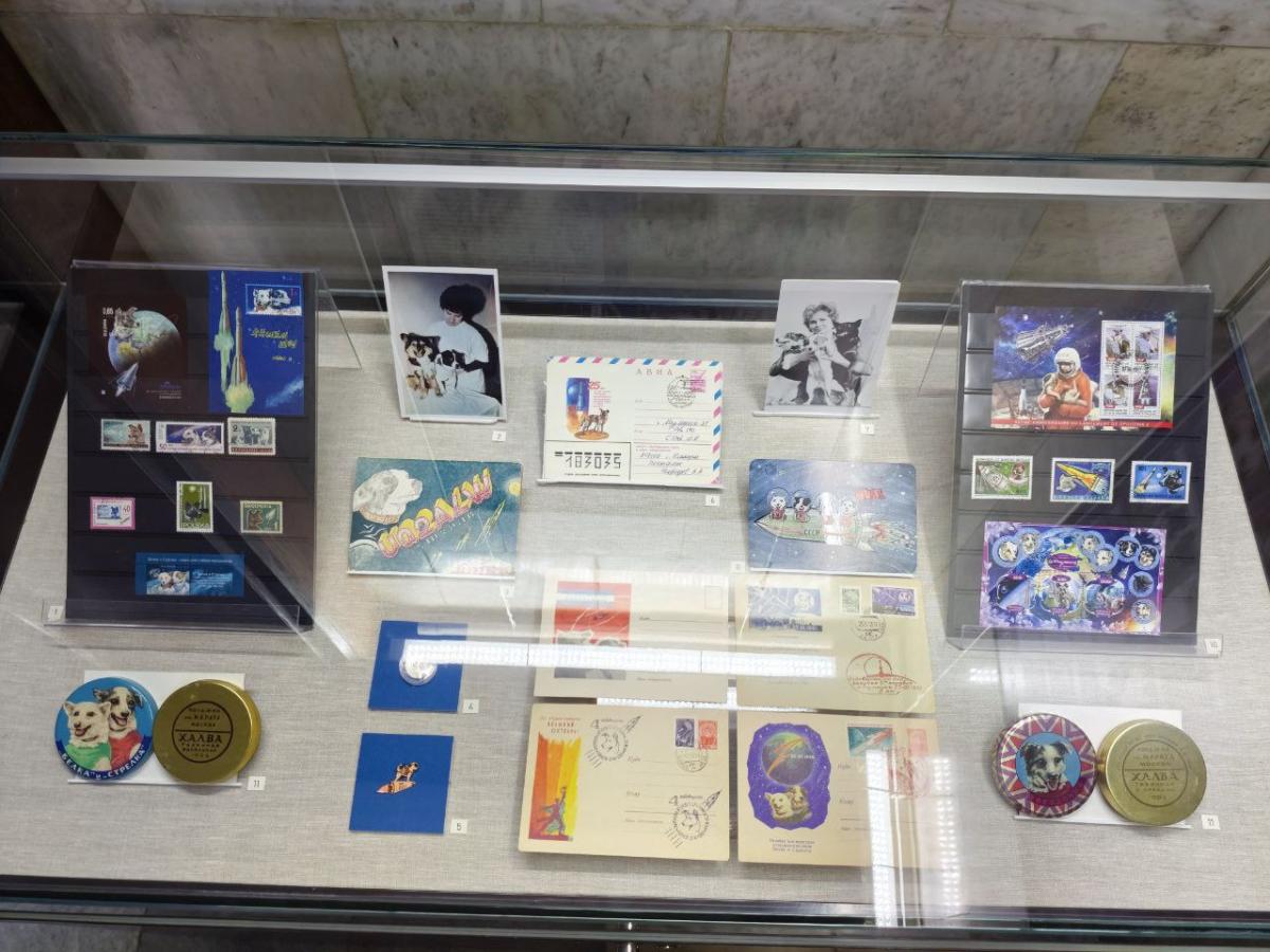 Студенты‑агрономы посетили космическую выставку в Саратове Фото 2