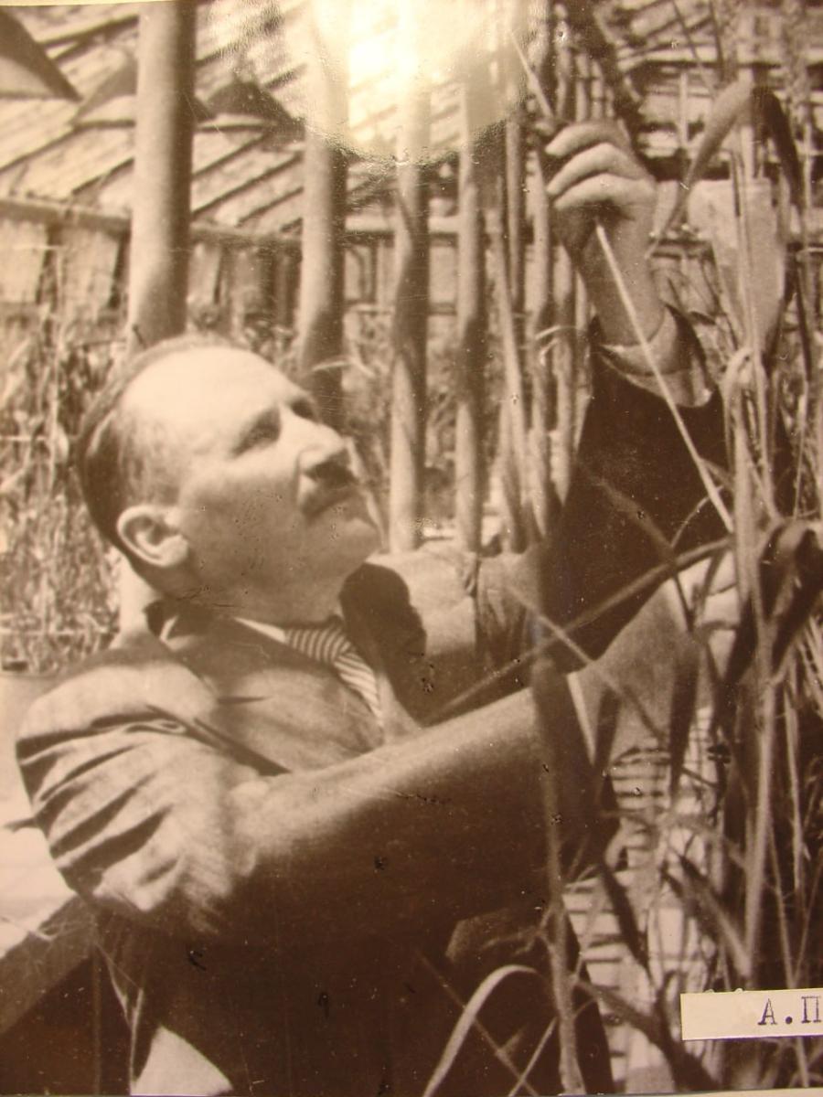 К юбилею ученого: Профессор Алексей Павлович Шехурдин Фото 5