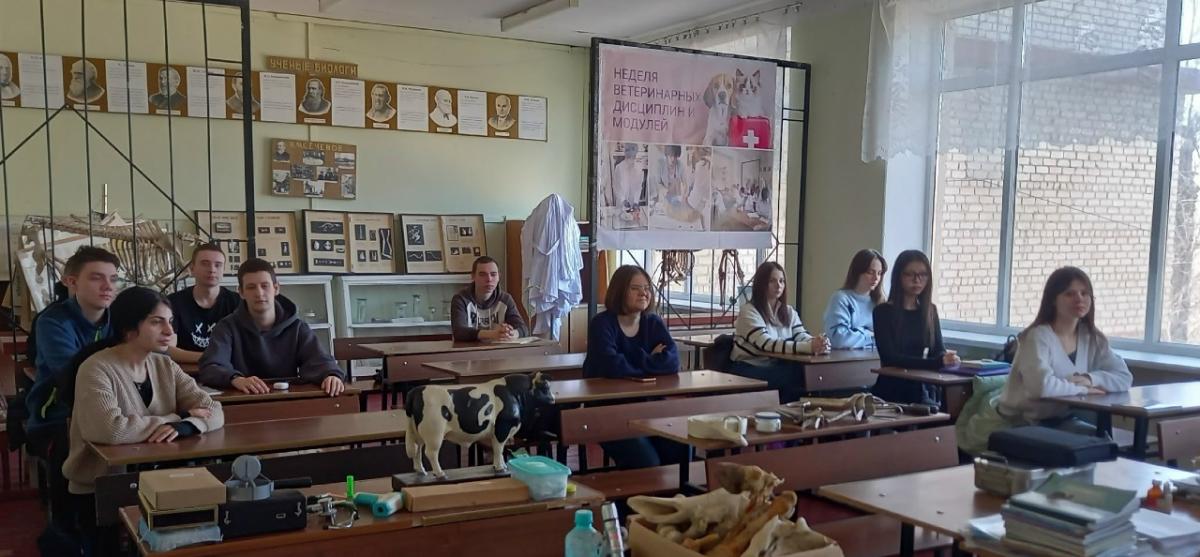 Линейка. Разговоры о важном. Фото 3