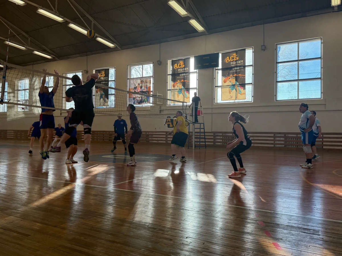 Преподаватели Вавиловского университета - призёры Спартакиады «Здоровье» Фото 1 Преподаватели Вавиловского университета - призёры Спартакиады «Здоровье» Фото 1