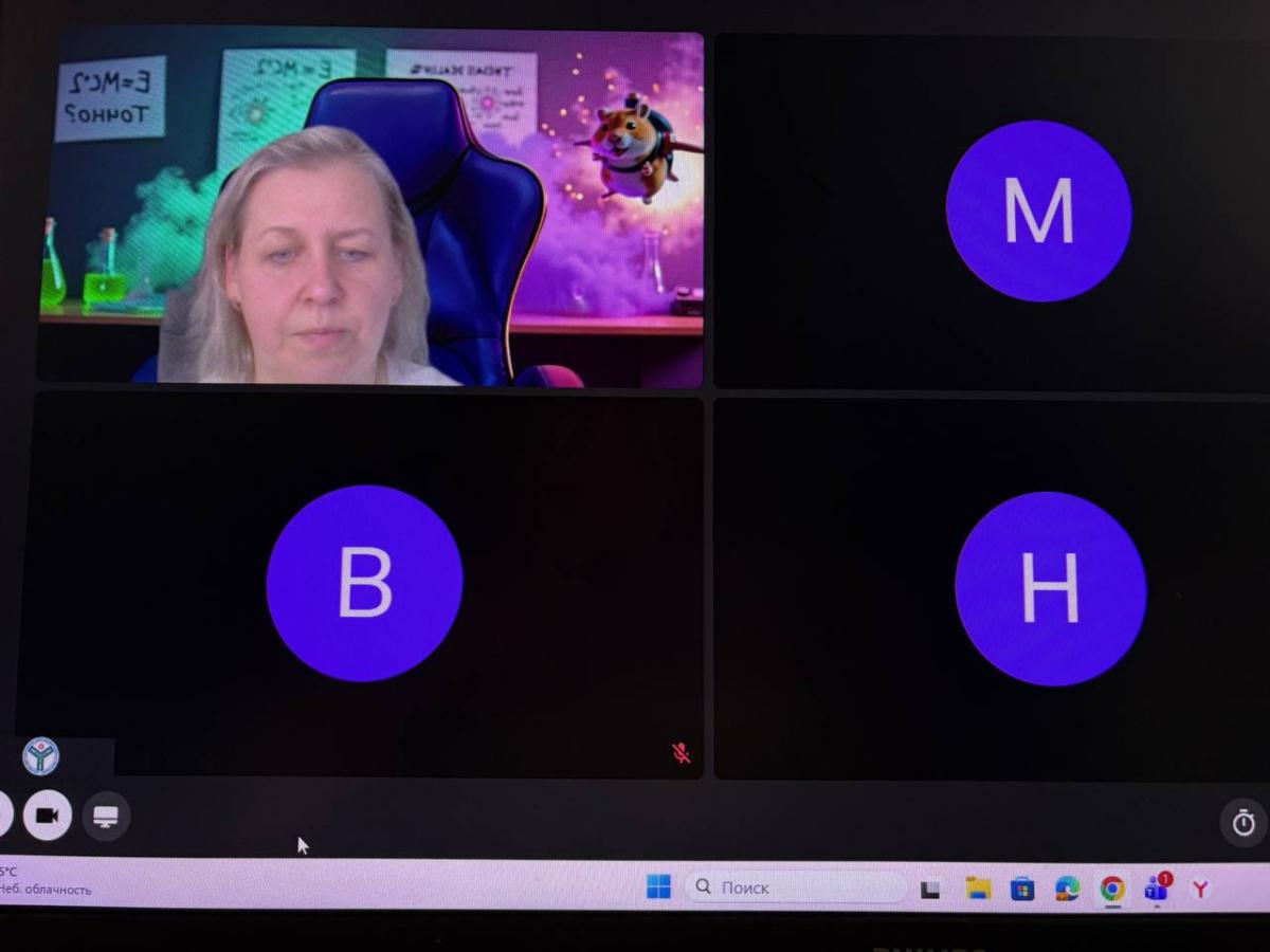 Состоялись очередные онлайн-занятия по подготовке к ЕГЭ для учащихся Фото 1