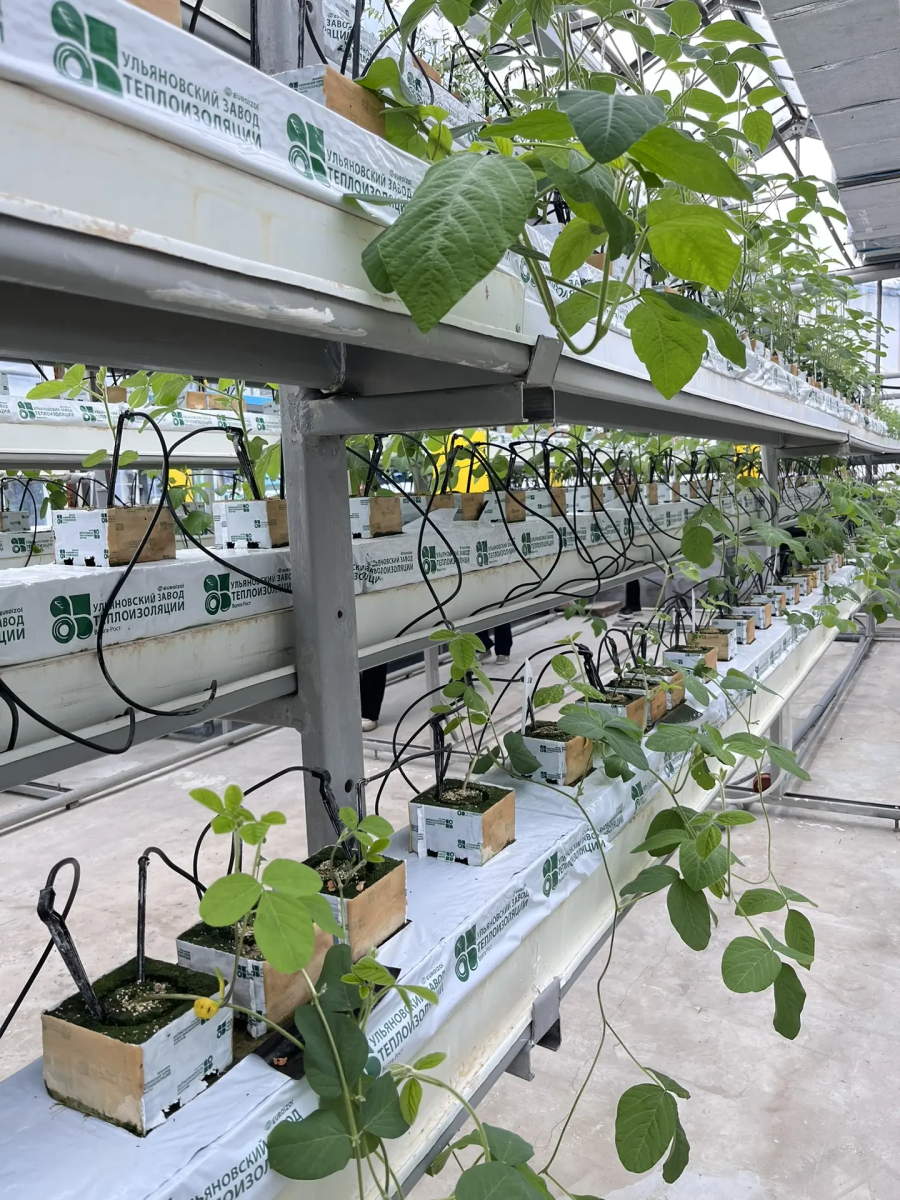 Сотрудники и студенты кафедры «Гидромелиорация, природообустройство и строительство в АПК» посетили с экскурсией УНУ «Фитотронно-тепличный интеллектуальный комплекс» Фото 11 Сотрудники и студенты кафедры «Гидромелиорация, природообустройство и строительство в АПК» посетили с экскурсией УНУ «Фитотронно-тепличный интеллектуальный комплекс» Фото 11