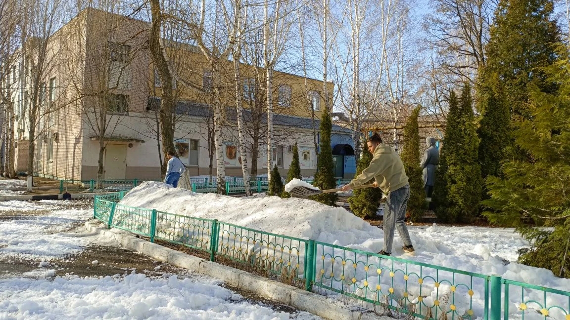 Субботник в институте ветеринарной медицины и фармации Фото 1