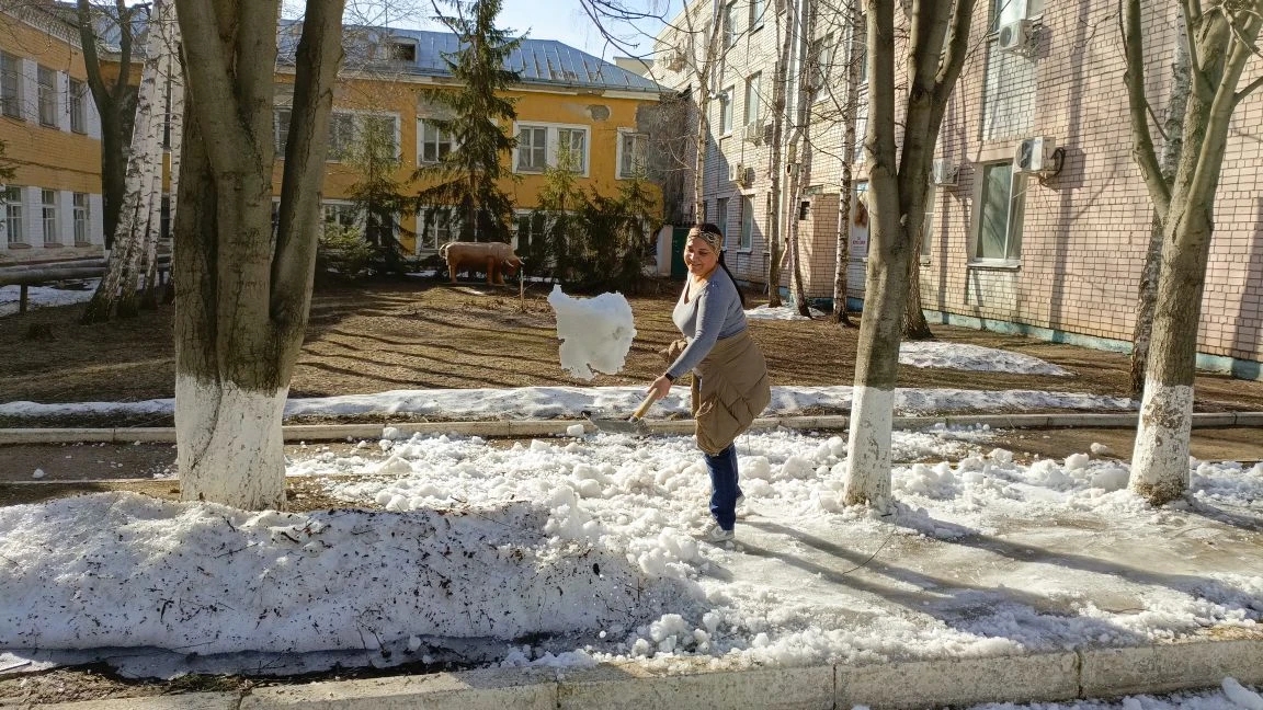 Субботник в институте ветеринарной медицины и фармации Фото 2