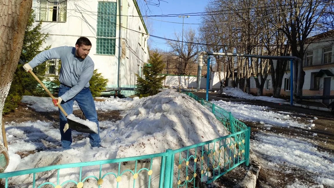 Субботник в институте ветеринарной медицины и фармации Фото 3