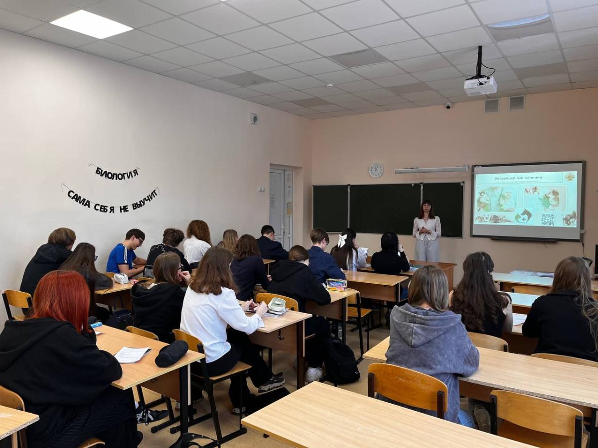 Профориентация в школах города