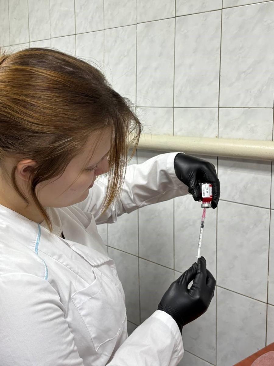 Учебная практика у студентов-ветеринаров Фото 1