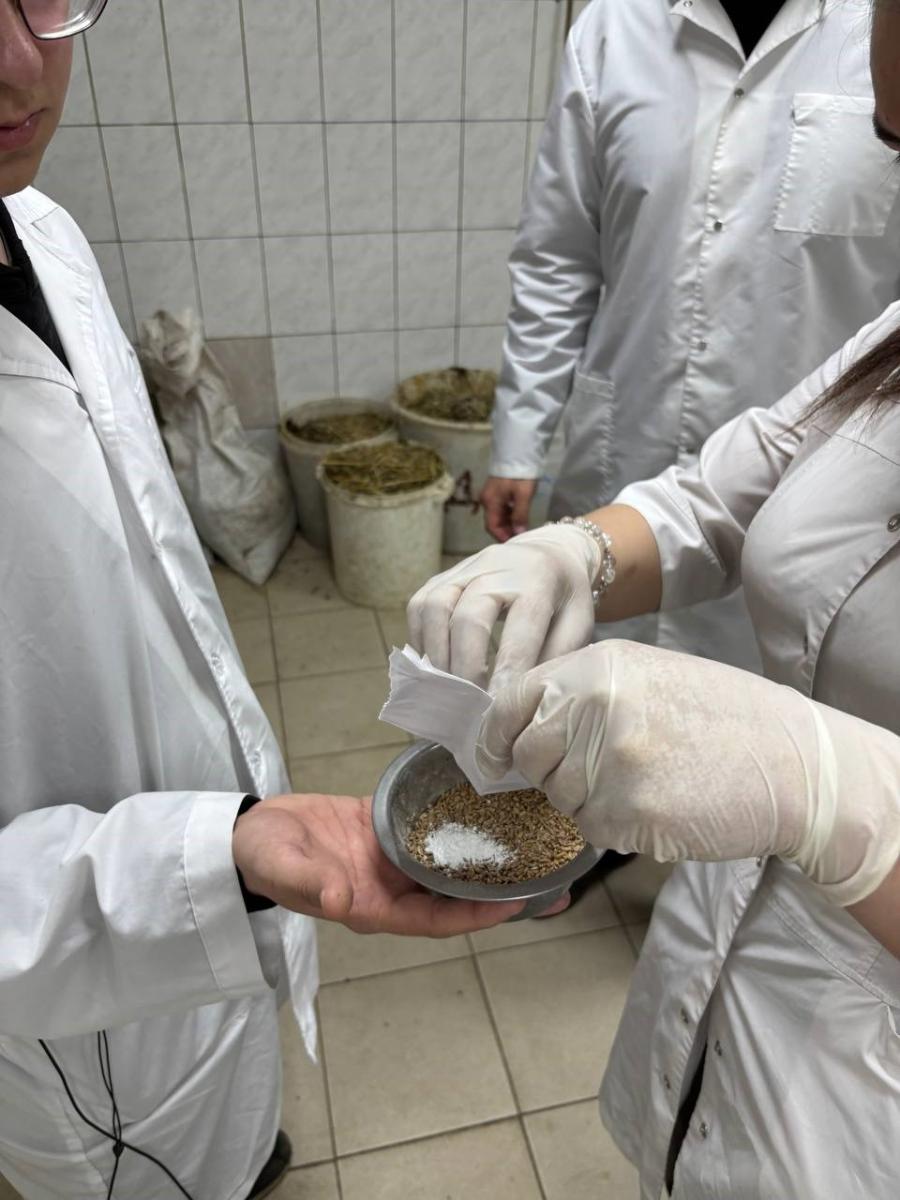 Учебная практика у студентов-ветеринаров Фото 3