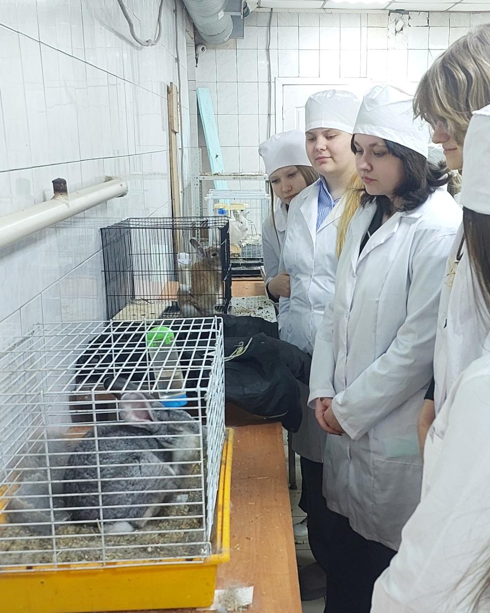 Ознакомительная экскурсия для обучающихся ФТК на УК №3 Вавиловского университета Фото 3 Ознакомительная экскурсия для обучающихся ФТК на УК №3 Вавиловского университета Фото 3