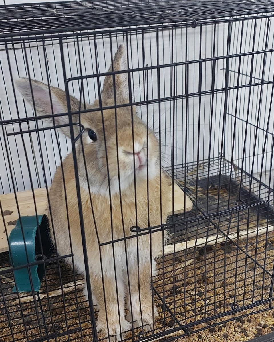 Ознакомительная экскурсия для обучающихся ФТК на УК №3 Вавиловского университета Фото 4 Ознакомительная экскурсия для обучающихся ФТК на УК №3 Вавиловского университета Фото 4