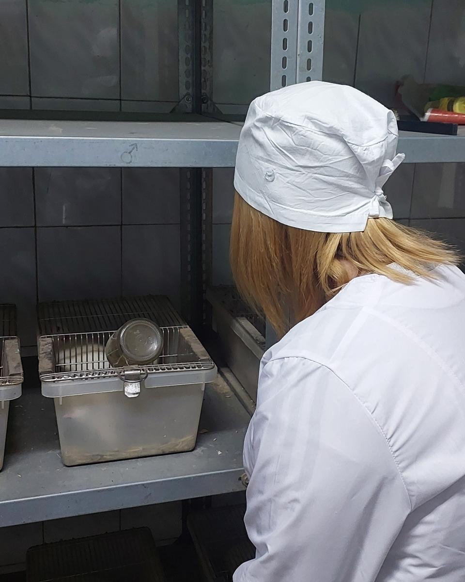 Ознакомительная экскурсия для обучающихся ФТК на УК №3 Вавиловского университета Фото 5 Ознакомительная экскурсия для обучающихся ФТК на УК №3 Вавиловского университета Фото 5