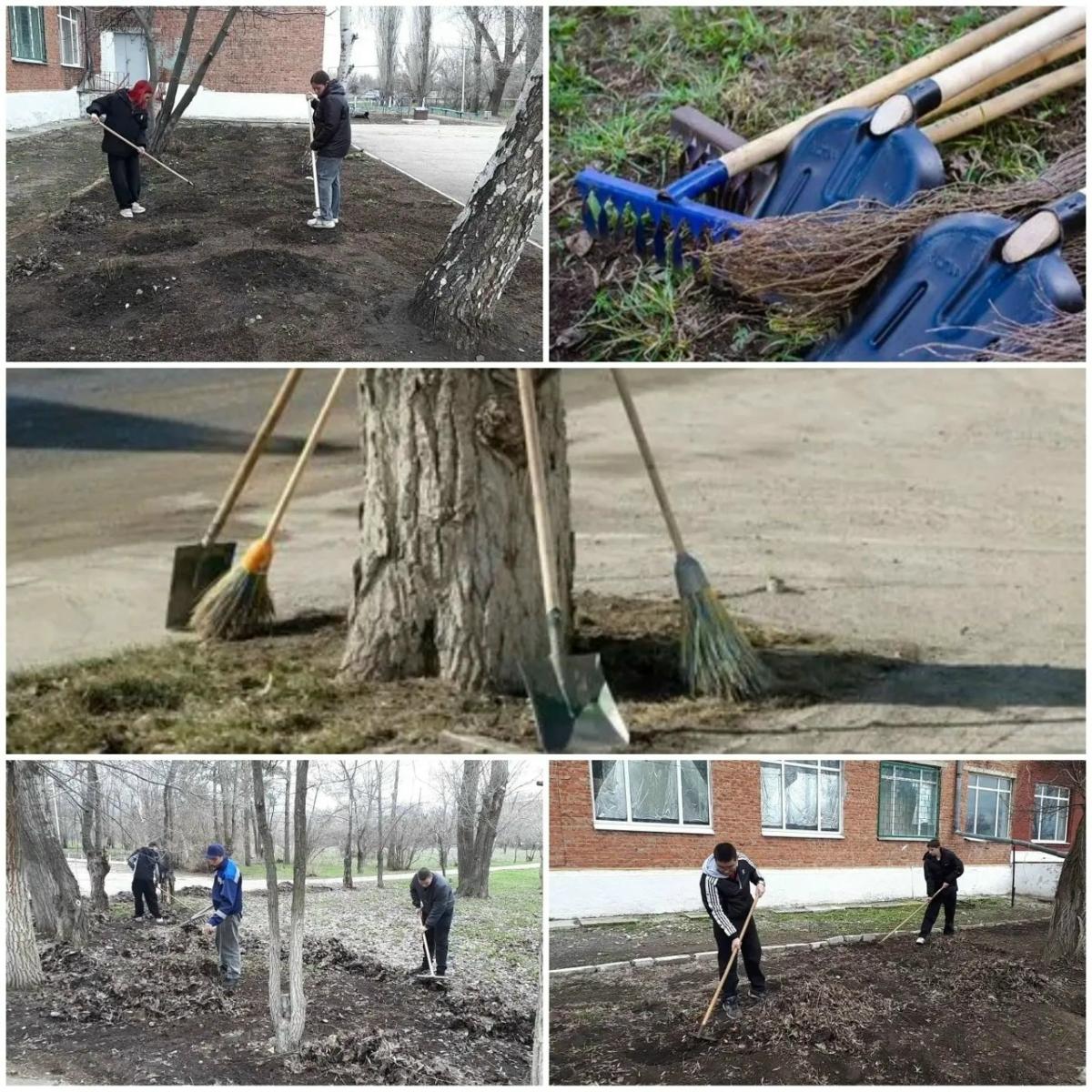 Пора субботников! Фото 2