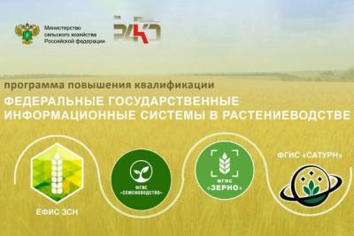 Преподаватели Вавиловского университета повысили квалификацию в области цифровых агротехнологий