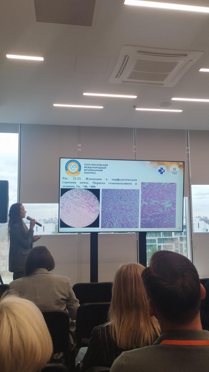 Аспирантка Вавиловского университета - призер VI Национальной премии «Серебряный микроскоп» Фото 2