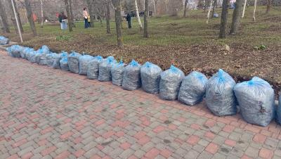 Участие в субботнике