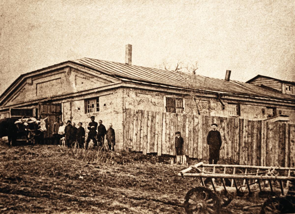 Учебное хозяйство СЗВИ 1930 г Учебное хозяйство СЗВИ 1930 г