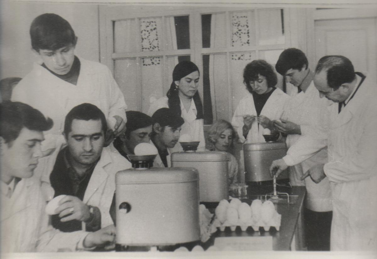 Лабораторные занятия Зоовет 1955 г
