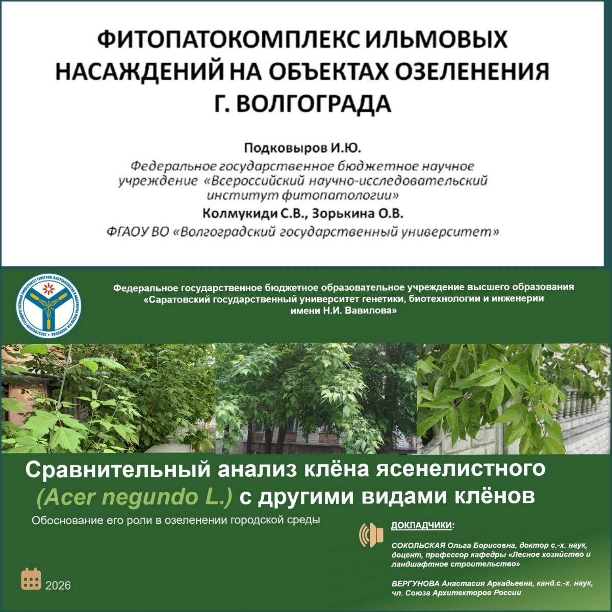 КОНФЕРЕНЦИЯ СОСТОЯЛАСЬ! Фото 7