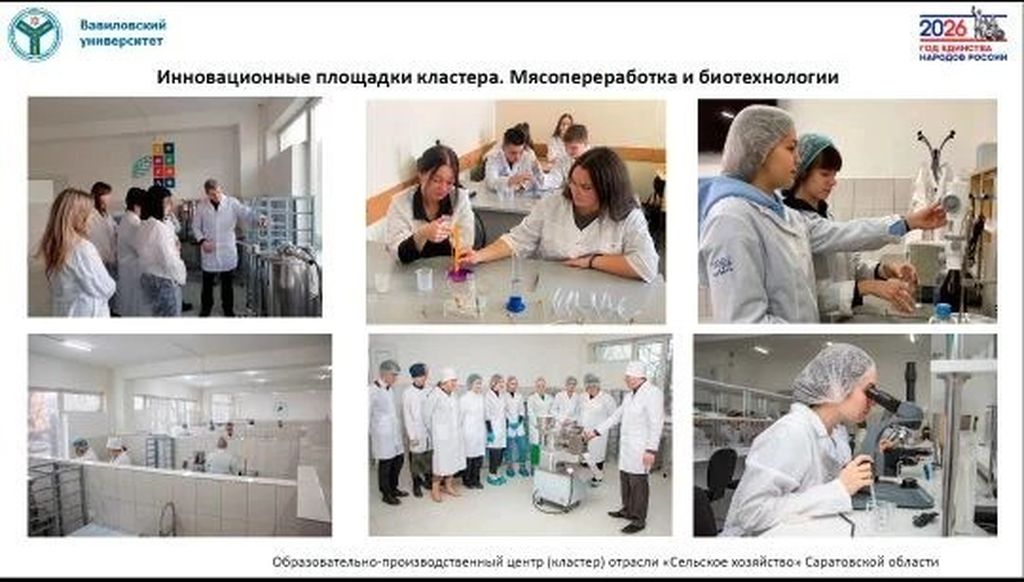 Региональное родительское собрание «Единый день открытых дверей ФП «Профессионалитет» Фото 4