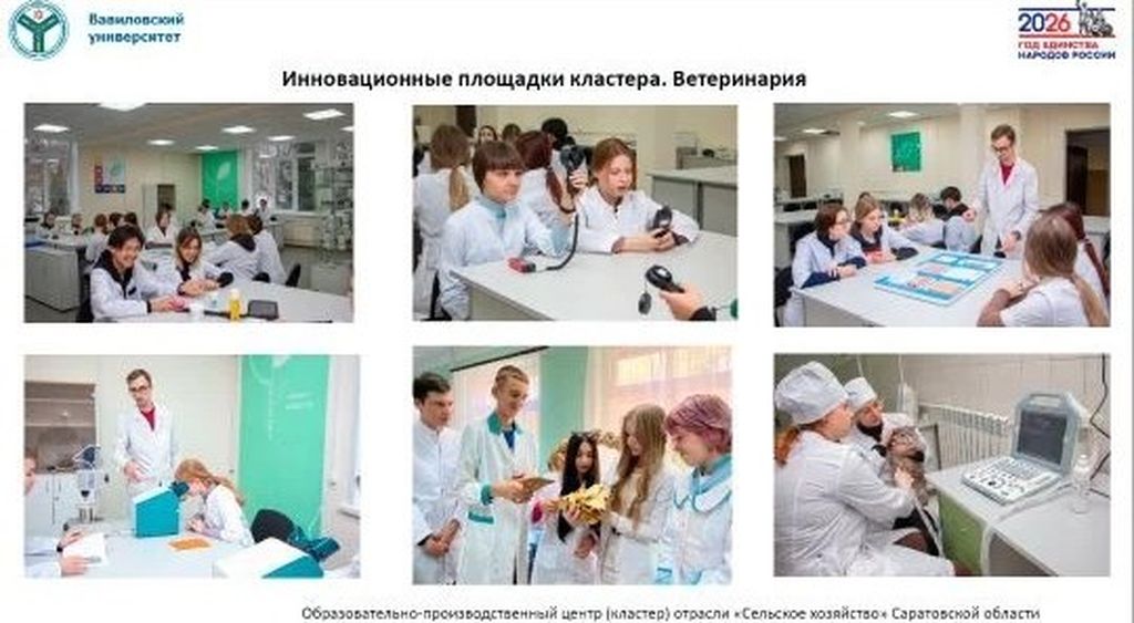 Региональное родительское собрание «Единый день открытых дверей ФП «Профессионалитет» Фото 9