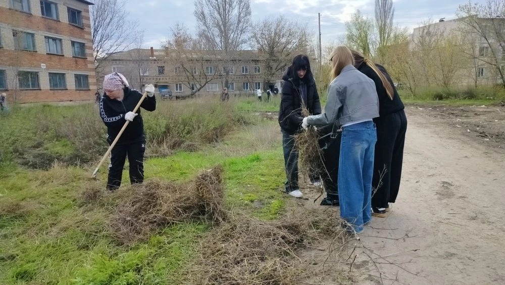 «Чисто не там, где убирают,  а там, где не мусорят» Фото 1