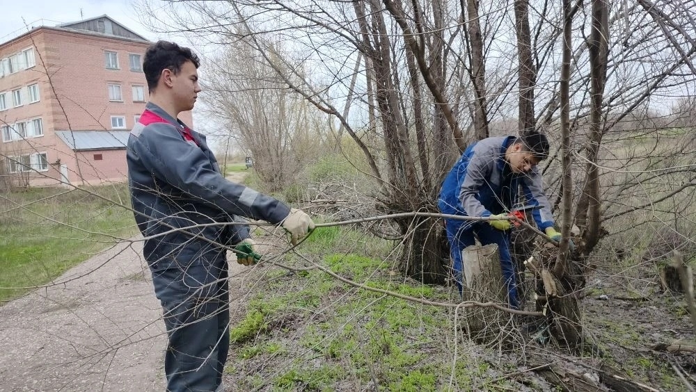«Чисто не там, где убирают,  а там, где не мусорят» Фото 2
