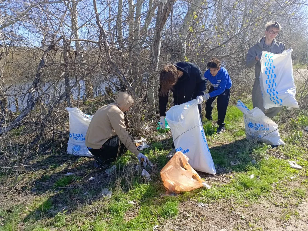 Студенты Пугачёвского филиала благоустроили берег реки Большой Иргиз Фото 1