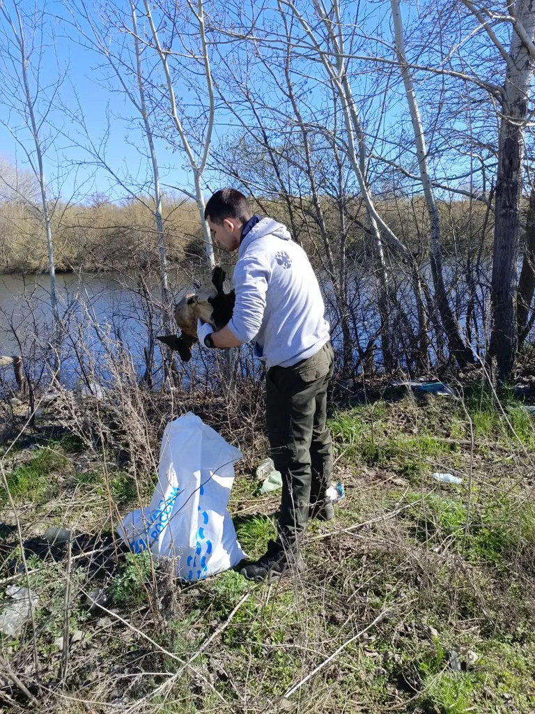 Студенты Пугачёвского филиала благоустроили берег реки Большой Иргиз Фото 3