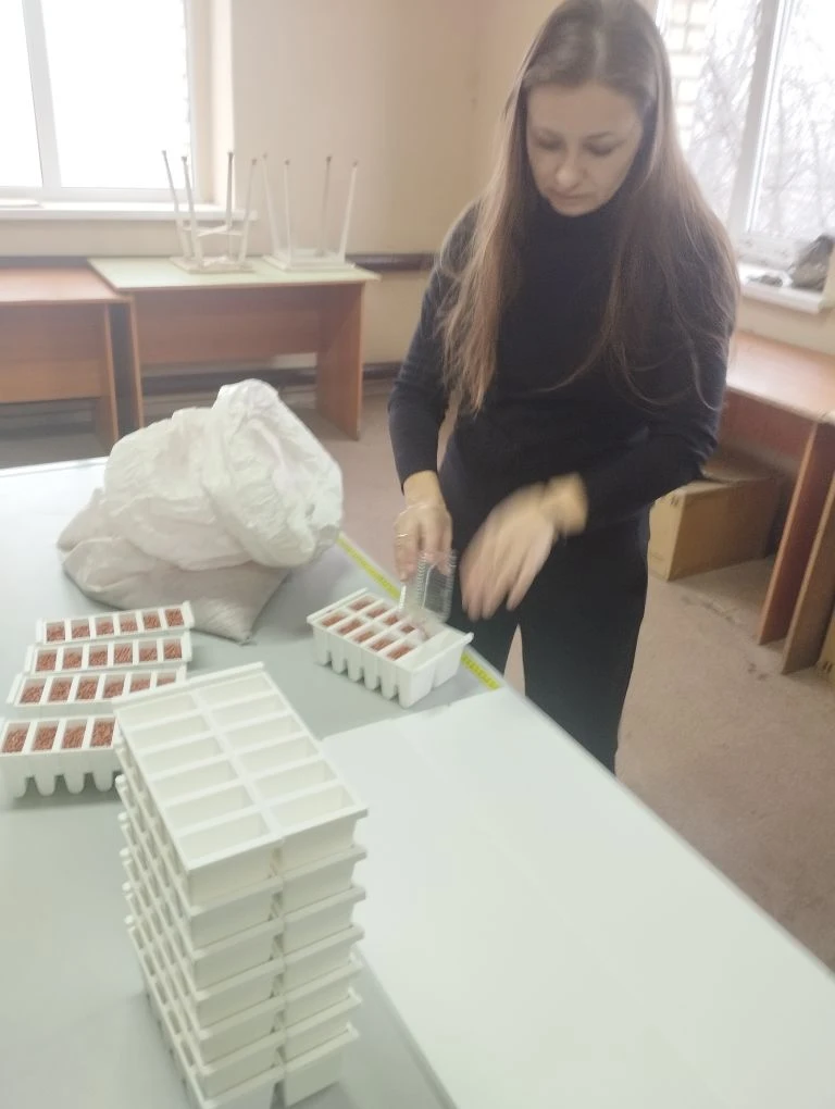 В УНПК «Агроцентр» стартовала подготовка к посеву селекционных и семеноводческих участков Фото 2