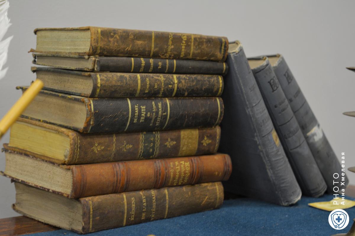 Вавиловский университет принял делегацию образовательного центра «Gaudamus» из Республики Казахстан Фото 10