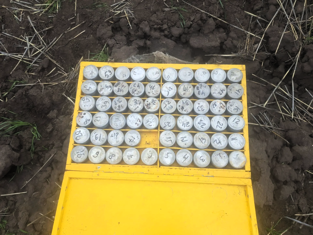 Ученые Вавиловского университета исследуют влагосберегающие технологии на полях УНПО «Поволжье» Фото 1