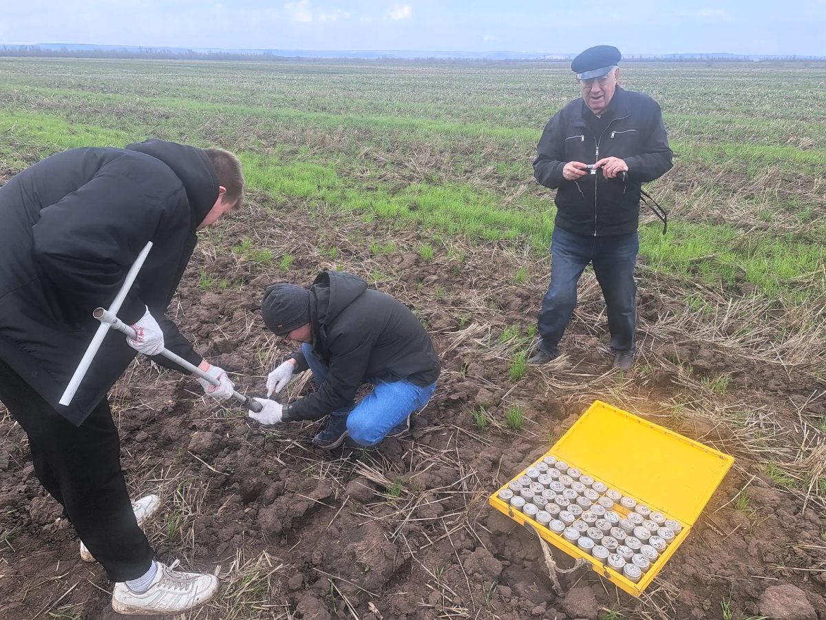 Ученые Вавиловского университета исследуют влагосберегающие технологии на полях УНПО «Поволжье» Фото 2