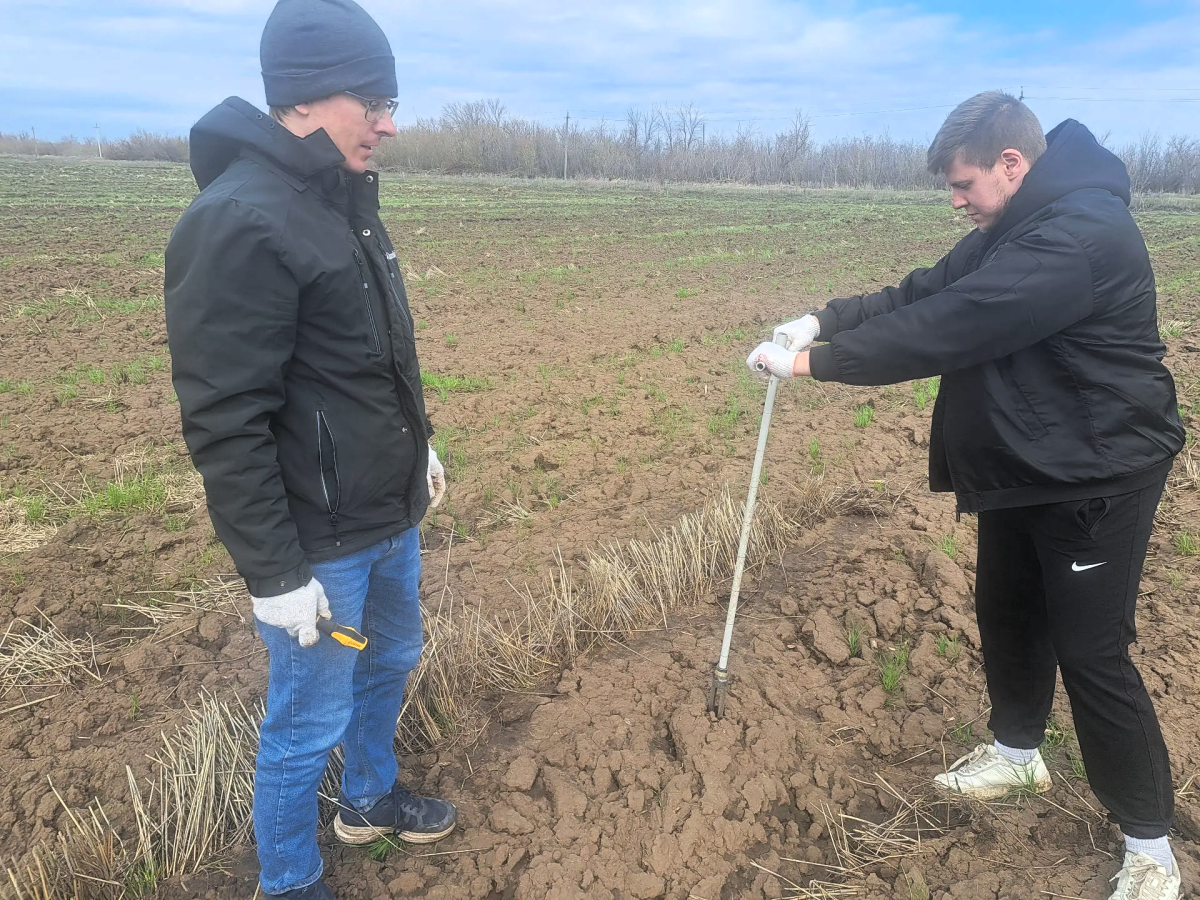Ученые Вавиловского университета исследуют влагосберегающие технологии на полях УНПО «Поволжье» Фото 5