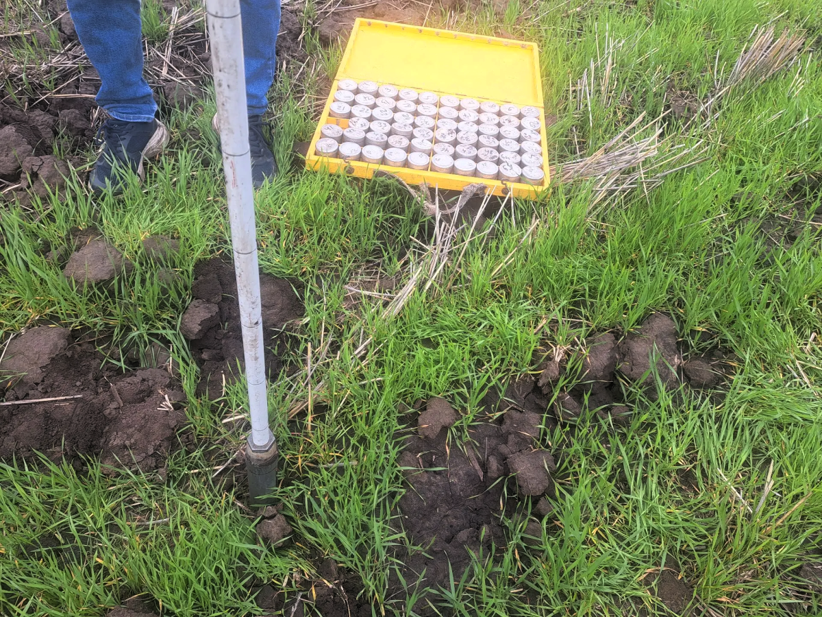 Ученые Вавиловского университета исследуют влагосберегающие технологии на полях УНПО «Поволжье» Фото 6