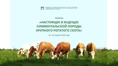 Участие в работе Селекционного центра по симментальской породе крупного рогатого скота