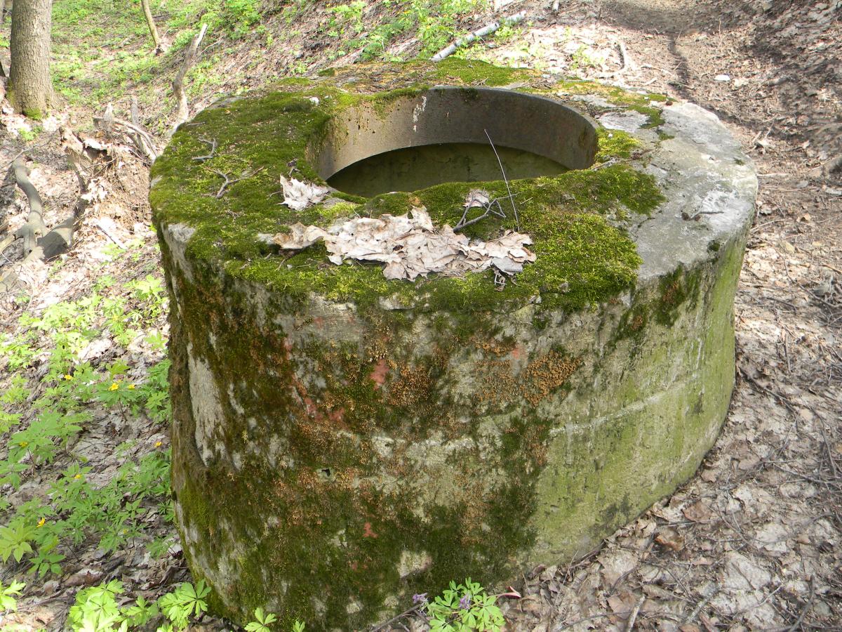 Секция спортивного туризма Вавиловского университета провела экскурсию по родникам Кумысной Поляны Фото 2