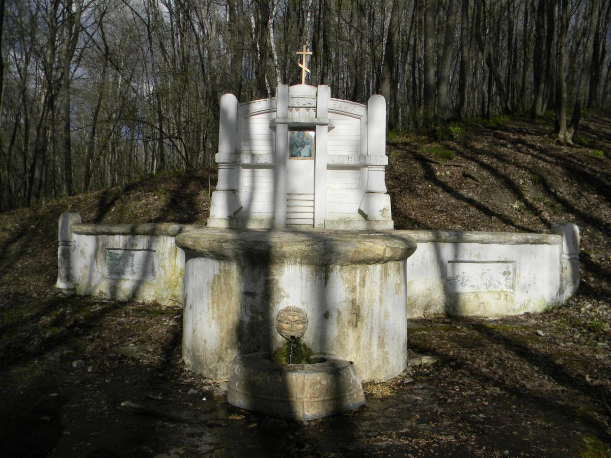 Секция спортивного туризма Вавиловского университета провела экскурсию по родникам Кумысной Поляны Фото 4