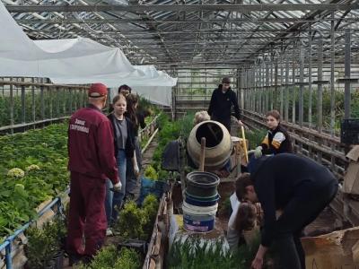 Будущие агрономы провели пересадку растений в УНПК «Агроцентр»
