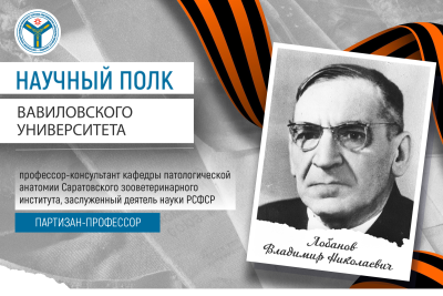 Научный полк Вавиловского университета: Партизан-профессор Лобанов Владимир Николаевич